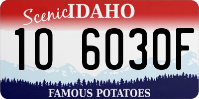 ID license plate 1O6030F