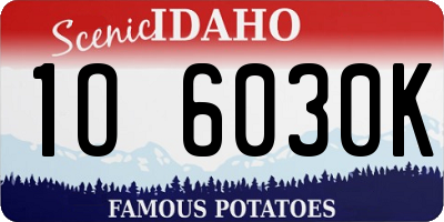 ID license plate 1O6030K