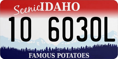 ID license plate 1O6030L