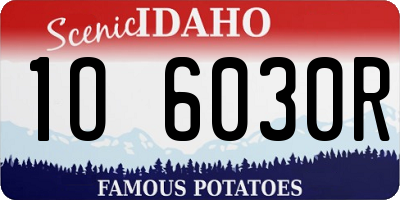 ID license plate 1O6030R