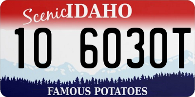 ID license plate 1O6030T