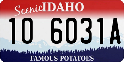 ID license plate 1O6031A