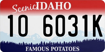 ID license plate 1O6031K