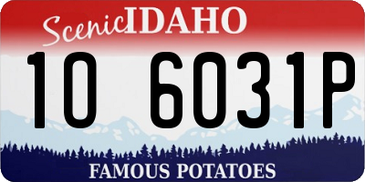 ID license plate 1O6031P