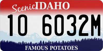 ID license plate 1O6032M