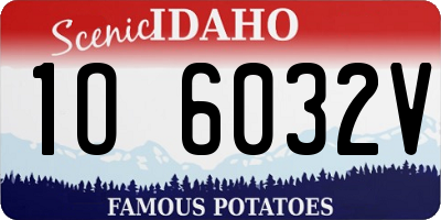ID license plate 1O6032V