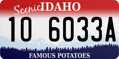 ID license plate 1O6033A