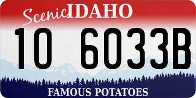 ID license plate 1O6033B