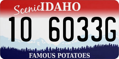 ID license plate 1O6033G