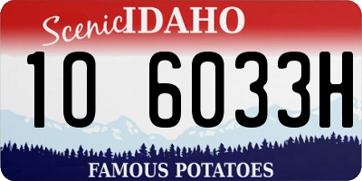 ID license plate 1O6033H