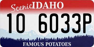 ID license plate 1O6033P