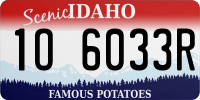 ID license plate 1O6033R