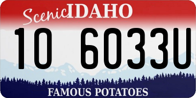 ID license plate 1O6033U
