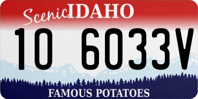 ID license plate 1O6033V