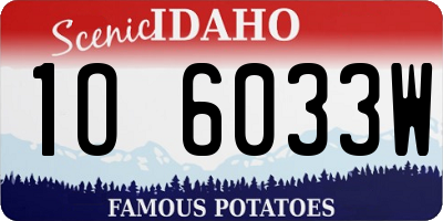 ID license plate 1O6033W