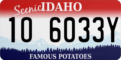 ID license plate 1O6033Y
