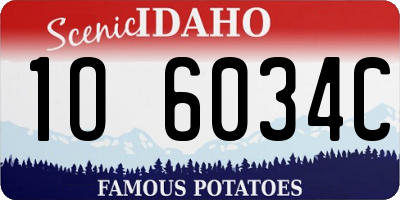 ID license plate 1O6034C