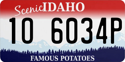 ID license plate 1O6034P