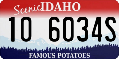 ID license plate 1O6034S