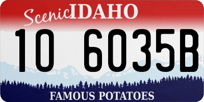 ID license plate 1O6035B