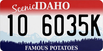ID license plate 1O6035K