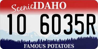 ID license plate 1O6035R
