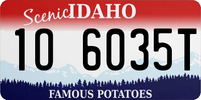 ID license plate 1O6035T