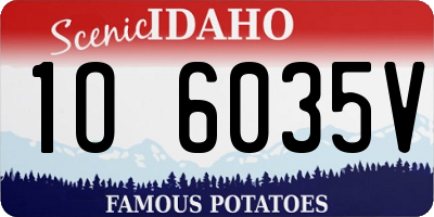 ID license plate 1O6035V