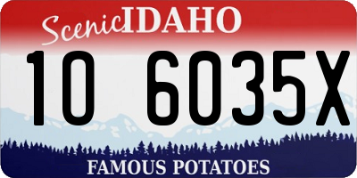 ID license plate 1O6035X