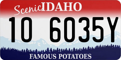 ID license plate 1O6035Y