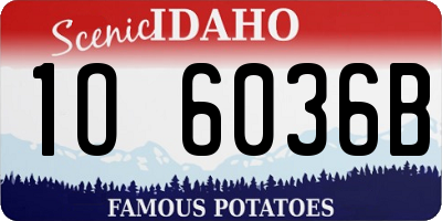 ID license plate 1O6036B