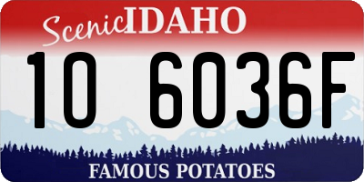 ID license plate 1O6036F