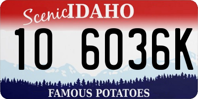 ID license plate 1O6036K