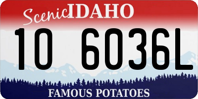 ID license plate 1O6036L