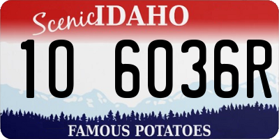 ID license plate 1O6036R