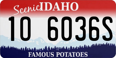 ID license plate 1O6036S