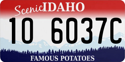ID license plate 1O6037C
