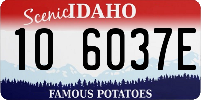 ID license plate 1O6037E