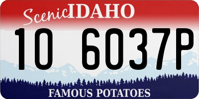 ID license plate 1O6037P
