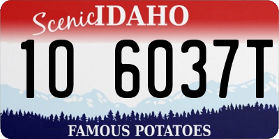 ID license plate 1O6037T