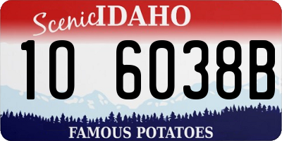ID license plate 1O6038B