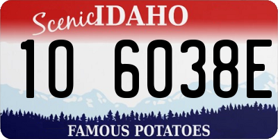 ID license plate 1O6038E