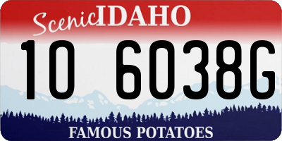 ID license plate 1O6038G