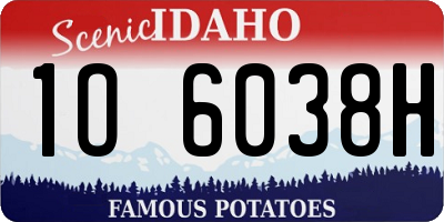 ID license plate 1O6038H