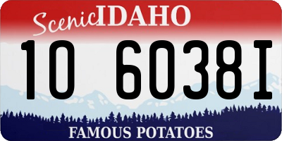 ID license plate 1O6038I