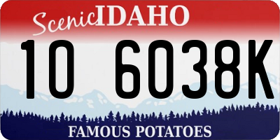 ID license plate 1O6038K