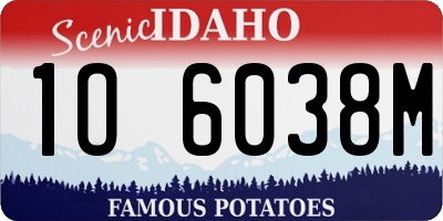 ID license plate 1O6038M