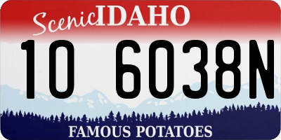 ID license plate 1O6038N