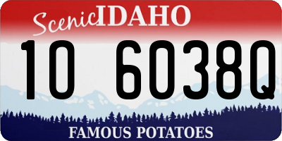 ID license plate 1O6038Q
