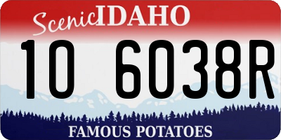 ID license plate 1O6038R